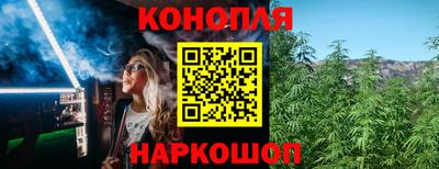 прущие крисы Кимры