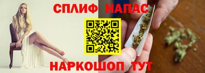 spice Кингисепп