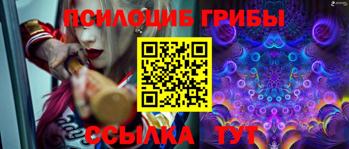 Галлюциногенные грибы MAGIC MUSHROOMS Камышлов
