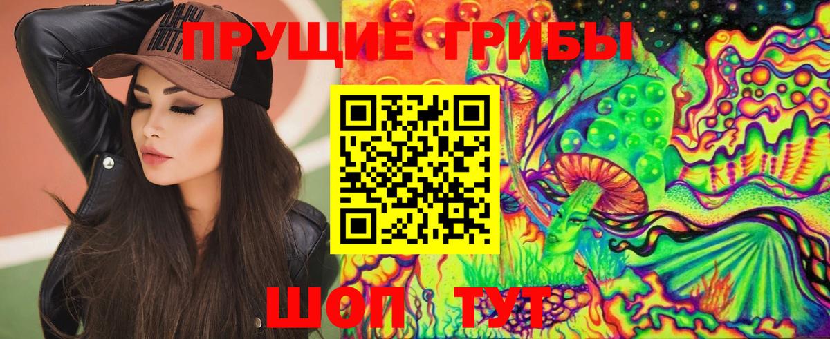 Псилоцибиновые грибы MAGIC MUSHROOMS  Галлюциногенные грибы MAGIC MUSHROOMS  Камышлов  Вход с VPN 